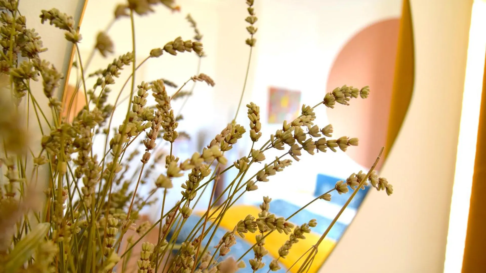 Homestay Quartier Chic L Chambres L Gare Centrale L Tramway Nice